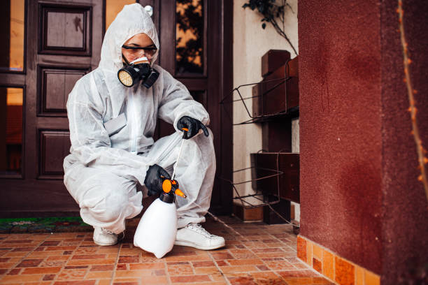 Reliable Wasp Removal contractor in Cayuga Heights, NY by Show Me Pest Control